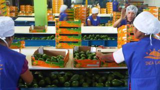 Agroexportaciones del Perú se ven favorecidas por alza de 18% en envíos de frutas y hortalizas