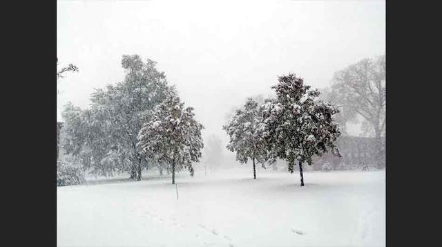 3. La gran tormenta de 1956  Ocurrida del 1ero. al 8 de febrero de 1956, se registraron desde 14 hasta 43 pulgadas de nieve en estados como Texas y Oklahoma. Cientos de cabezas de ganado murieron y el alimento para el ganado sobreviviente se tuvo que tran