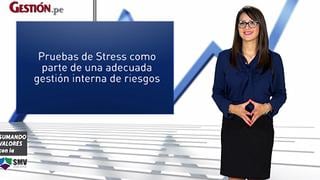 Pruebas de Stress como parte de una adecuada gestión interna de riesgos