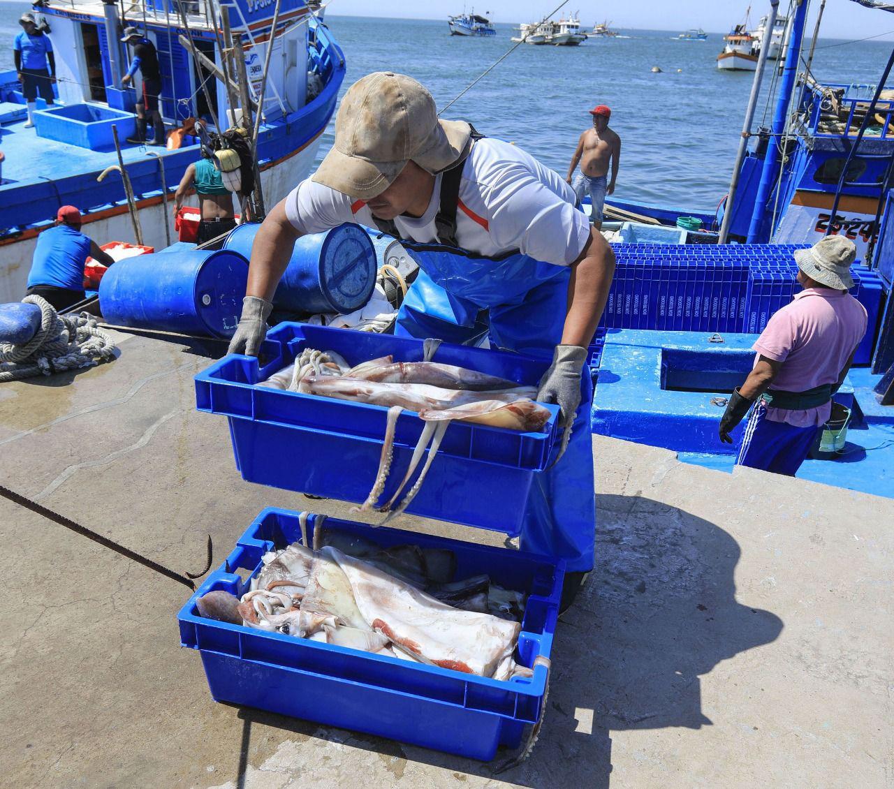 Pota. (Foto: Difusión/ Produce)