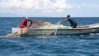 Embarcaciones de menor escala reiniciarán pesca de anchoveta en el litoral peruano
