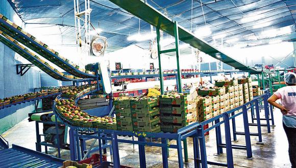 Agromar Industrial exporta mango, maracuyá, limón y palta. (Foto: Difusión)