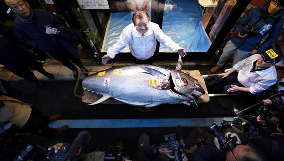 Comerciantes de pescado pasan una década aprendiendo el arte de seleccionar atún de alta calidad para los restaurantes de sushi.(Foto: AFP)