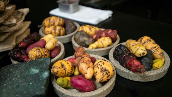 Fotografía tomada el 24 de junio de 2016 de variedades de papas utilizadas en el restaurante Central del chef Virgilio Martínez en Lima. (Foto de CRIS BOURONCLE / AFP)