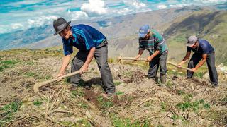 Segunda Reforma Agraria: presentación del proyecto se dilataría más allá del 9 de octubre