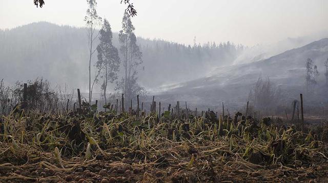 En el marco de las investigaciones, la Fiscalía de la región de O'Higgins (centro) donde más de 50,000 hectáreas fueron arrasadas, apuntan al mal estado de tendidos eléctricos como una de las posibles causas en la propagación de esos siniestros.