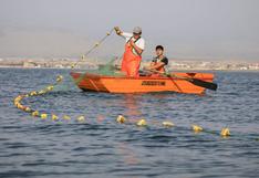 Produce proyecta asegurar a 20,000 pescadores artesanales a fin de año