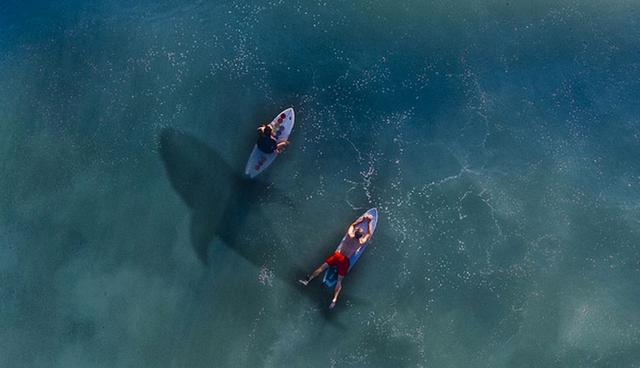 FOTO 3 | 3. Adrift. Shailene Woodley y Sam Claffin protagonizan este drama en donde dos náufragos encuentran el amor en medio de un huracán. Recaudó US$ 11.5 millones. (Foto: IMDB)