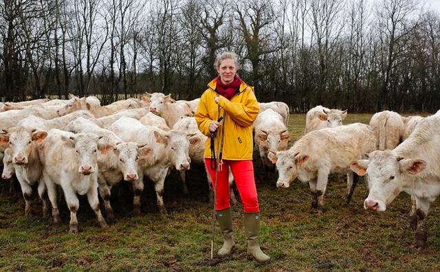 FOTO 8 | 8. Al 28% de Los hombres Ie gustaría que Ias mujeres de su familia tuviesen empleos remunerados, en tanto, el 38% preferiría que Las mujeres pudiesen trabajar y cuidar del hogar a la vez. Según Ia encuesta sólo el 29% de Los hombres quisiera que Las mujeres se quedaran en casa. (Foto: Reuters)