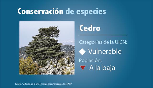 Conservación de especies