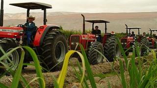 INEI: La producción agropecuaria acumuló catorce meses de crecimiento consecutivo