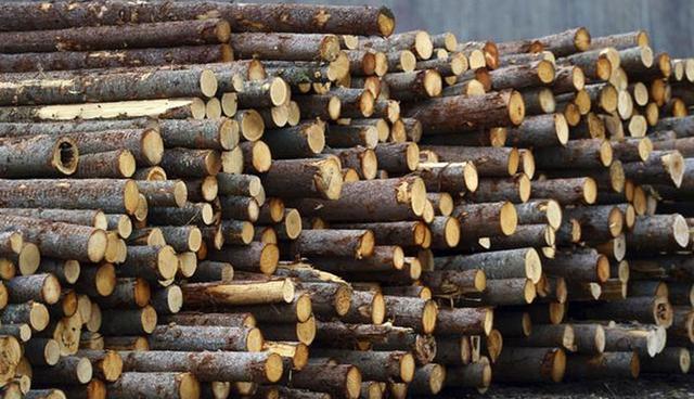 Foto 2 | Resolución de controversias: El acuerdo preservará un mecanismo de solución de controversias comerciales que Canadá luchó arduamente por mantener para proteger su industria maderera y otros sectores de los aranceles antidumping de Estados Unidos. Al parecer, no se han realizado cambios sustanciales en el mecanismo de solución de controversias comerciales del Capítulo 19 ni en la solución de diferencias entre estados. Sin embargo, el acuerdo limita la solución de disputas entre inversionistas y estados a los casos de tratamiento preferencial y ciertos sectores dominados por firmas estatales, como energía, telecomunicaciones e infraestructura. Mantener el Capítulo 19 no afectará el cumplimiento por parte de Washington de las leyes antidumping y antisubvención, dijo un funcionario estadounidense. (Foto: AP)