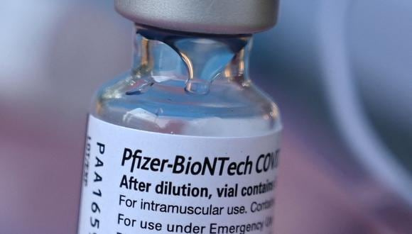 Los países de la Unión Europea recibirán 215 millones de dosis de BioNTech-Pfizer en los primeros tres meses del año próximo. (Photo by Robyn Beck / AFP).