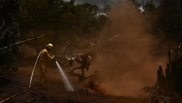 Fuentes oficiales de Hawaii revelaron que 93 personas fallecieron por los incendios forestales en Lahaina (Foto: Patrick T. Fallon / AFP)