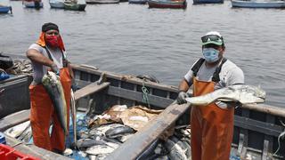 Derrame de petróleo en Ventanilla: Produce crea grupo de trabajo para atender al sector pesquero