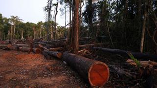 Serfor firma acuerdo para investigar un mejor uso de recursos de sus bosques