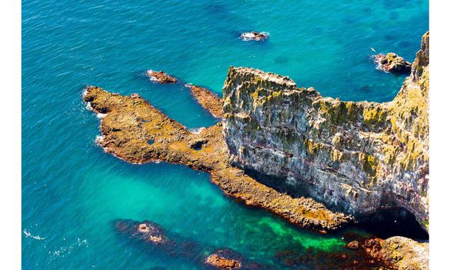 LÁTRABJARG, ISLANDIA. Conocido como el acantilado de aves marinas más grande de Europa, Látrabjarg tiene 14 kilómetros de largo y una altura de 440 metros. Estos acantilados son un hábitat importante de varias especies de aves, como el frailecillo, el alc