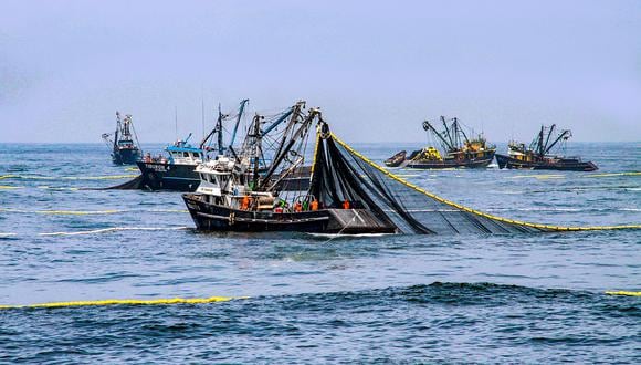Durante la ventana de 45 días se podría desembarcar 1.2 millones de TM de anchoveta, según Macroconsult. (Foto: Produce)