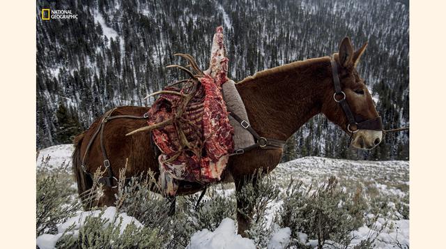 Carne de alce. (Foto: David Guttenfelder / National Geographic)