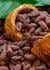 Además del cacao, las oportunidades para las agroexportaciones en la región San Martín 