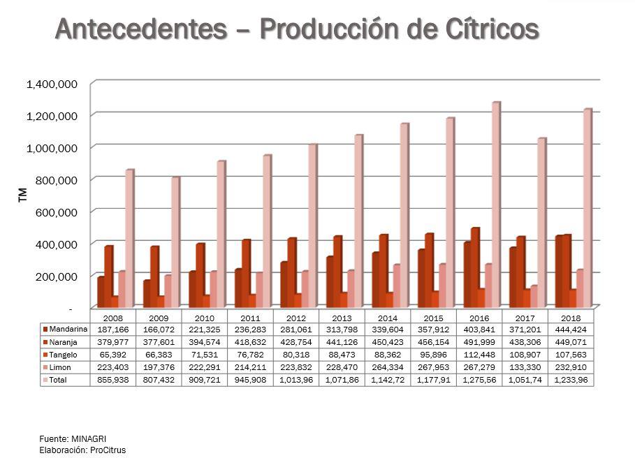 A diferencia de Ecuador, el Perú es un importante productor y exportador de cítricos. (Fuente: Minagri / Elaboración: Procitrus)