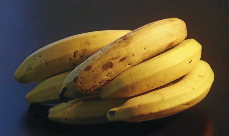 La filial de Novorossiysk del regulador ruso confirmó la presencia del insecto en un cargamento de frutas.