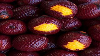 Frutos exóticos del Perú y su potencial para la exportación de pulpas y néctares