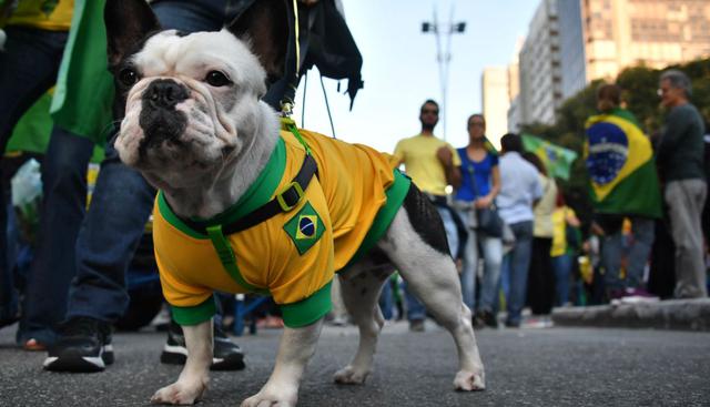 En Belo Horizonte, la capital regional de Minas Gerais (sureste), y Juiz de Fora, también hubo movilizaciones. (Foto: AFP)