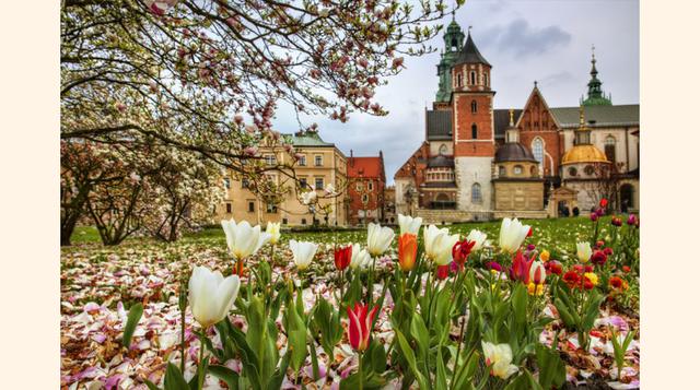 Polonia. Uno de los mejores países para formar una familia es Polonia, que cuenta con unos resultados excelentes en costes de cuidados infantiles y calidad de educación.