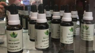 Ministerio de Agricultura regulará la investigación científica sobre cannabis medicinal