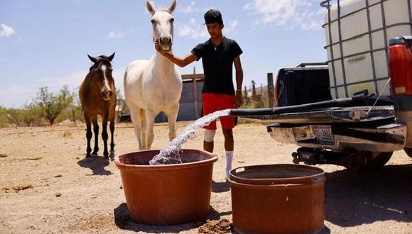 Recipientes llenos de agua para animales afectados por la sequía en el estado de Chihuahua. Foto: REUTERS/José Luis González