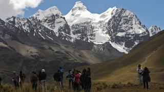 Dos nuevas especies de plantas son descubiertas en los Andes peruanos  