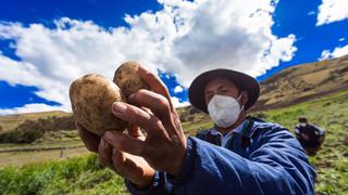 Bono alimentario y compra de fertilizantes demandará S/ 2,350 millones, adelanta MEF