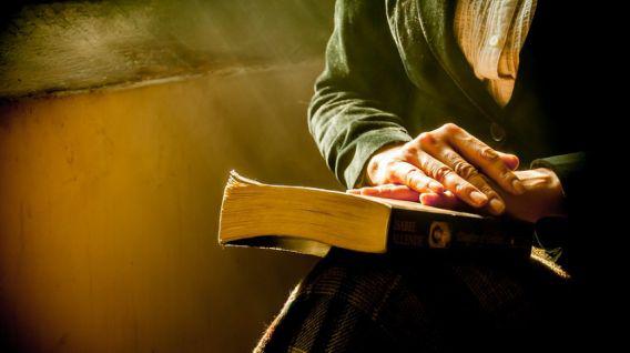 El término nesting es un adjetivo que se traduce al español como ‘anidando’. (Foto: Pixabay)