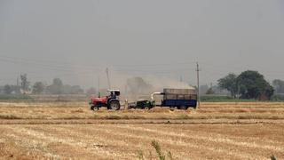 FAO alerta que el mundo no logrará el hambre cero en 2030