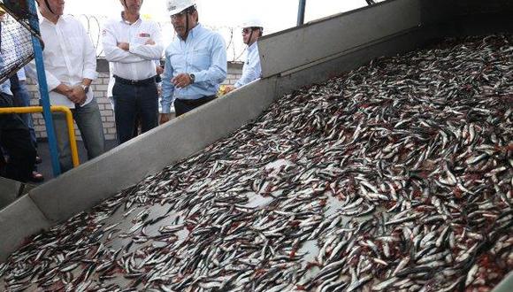 Sector pesca es uno de lo de mejor desempeño (Foto: Andina)