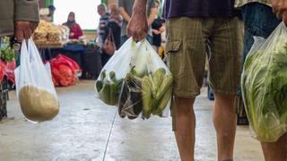 Industriales recién podrían reconvertir bolsas de un solo uso a reciclables en cinco años