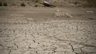 Cambio climático aumentó probabilidad de sequía “al menos 20 veces”