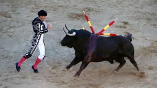 Bogotá consultará a ciudadanos si están de acuerdo o no con las corridas de toros