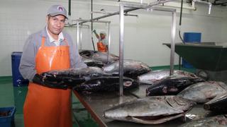 Barcos de bandera extranjera deberán entregar 30% de su pesca de atún a industria local