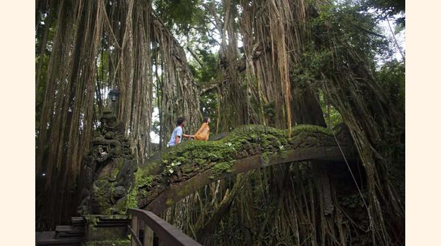Bali (Indonesia). Dos turistas ascienden por un puente a través de la selva. (Foto: msn)