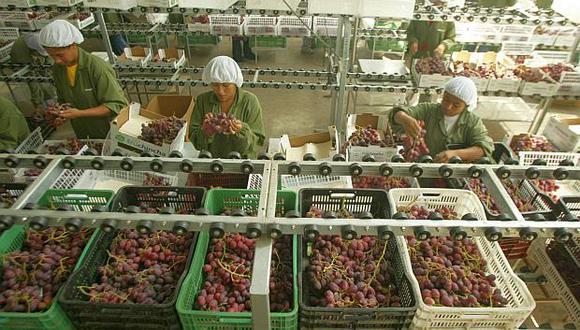 El negocio de las uvas se encuentra en crecimiento. (Foto: GEC)