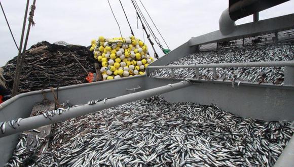 Produce fija límite de pesca de anchoveta para el 2023. (Foto: GEC)