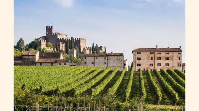 VÉNETO, ITALIA. Esta región del norte de Italia es una de las regiones italianas con más tradición vinícola, por lo que no es difícil encontrar paisajes de cuento. De Véneto destacamos los viñedos de Verona, donde se producen algunos de los mejores vinos 