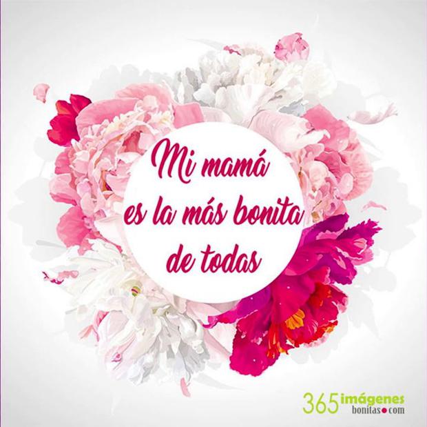  Frases por el Día de la madre en México  imágenes y mensajes cortos para enviar a mamá