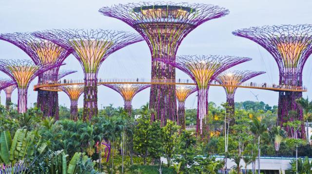 Singapur, en el 2015 celebrará medio siglo como país independiente. (Foto: Jhon Harper)
