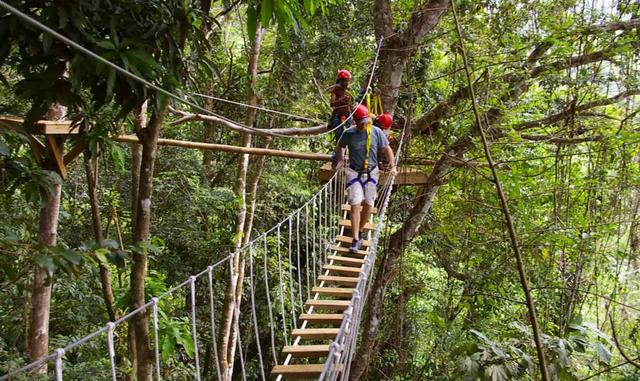 FOTO 33 | Saint Lucia: Treetop Adventure Park