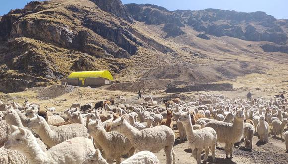 El ministro Torres aseguró que la planta permite dar a conocer que la región Puno “es un espacio geográfico rico, no solo en la producción de la mejor calidad de fibra de alpaca, sino también porque cuenta con grandes cantidades de minerales, así como recursos hídricos”. (Foto: Difusión)