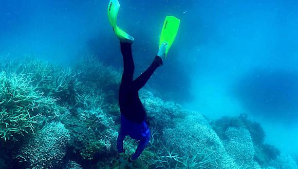 Un submarinista se acerca a la Gran Barrera de Coral en Australia. Glenn NICHOLLS / AFP/Archivos