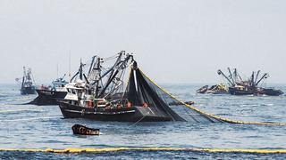 Segunda temporada de pesca inicia con buen pie, pero podría frenar su impulso